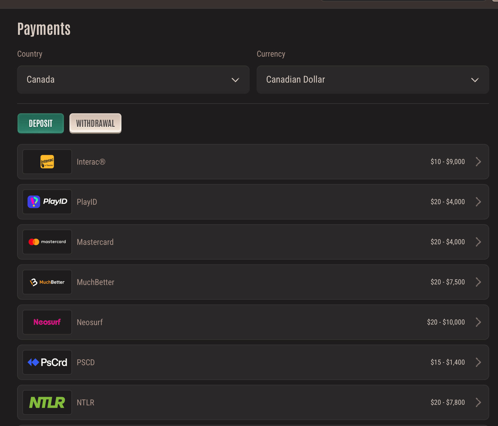 Some of the most popular Neon54 payment methods showcased on the site