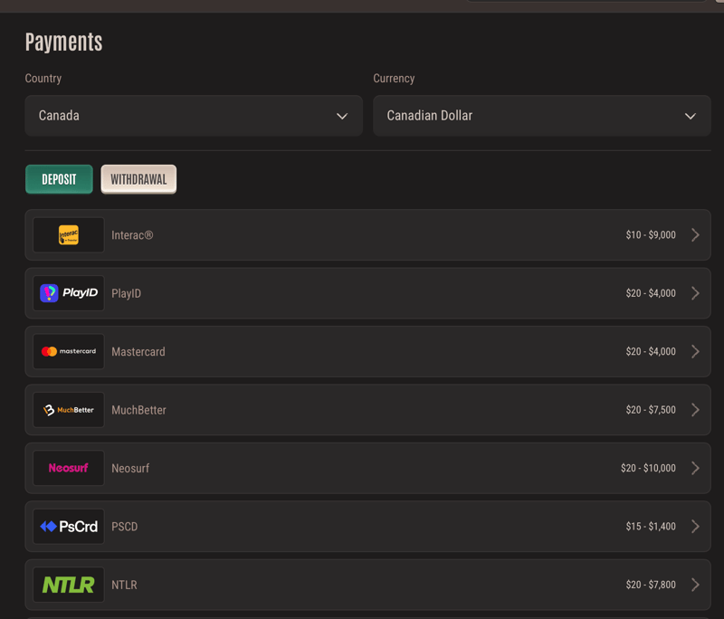 Some of the most popular Neon54 payment methods showcased on the site